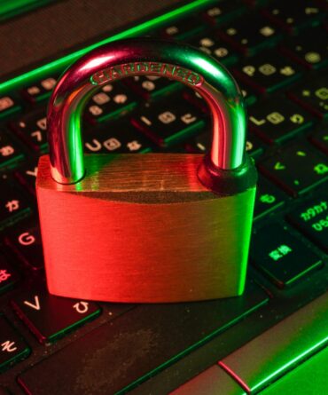 flyd-mT7lXZPjk7U-unsplash